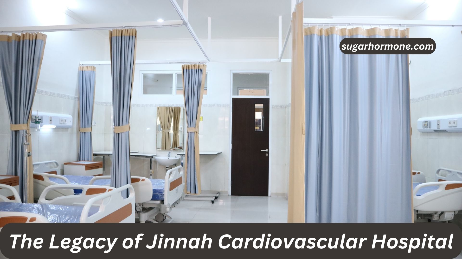 The Legacy of Jinnah Cardiovascular Hospital