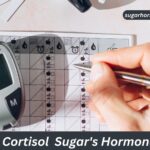 Insulin to Cortisol Sugar's Hormonal Impact